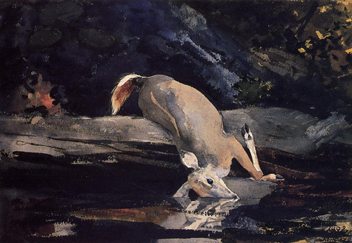 Reproductions of Winslow Homers Paintings Fallen Deer